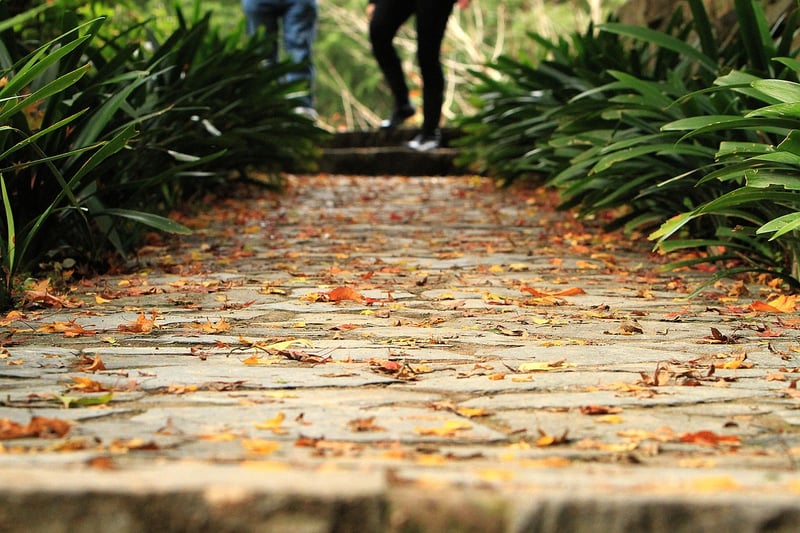 Meditative Trails