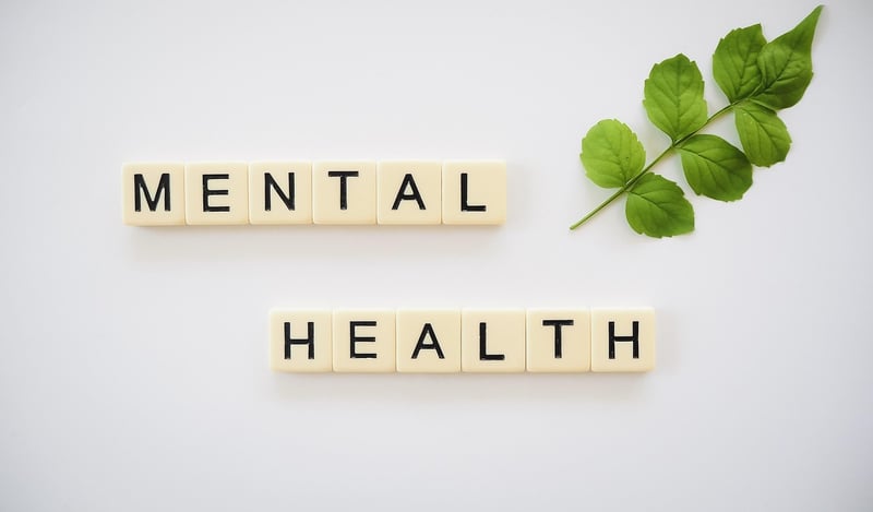 Mental Wellness Trips